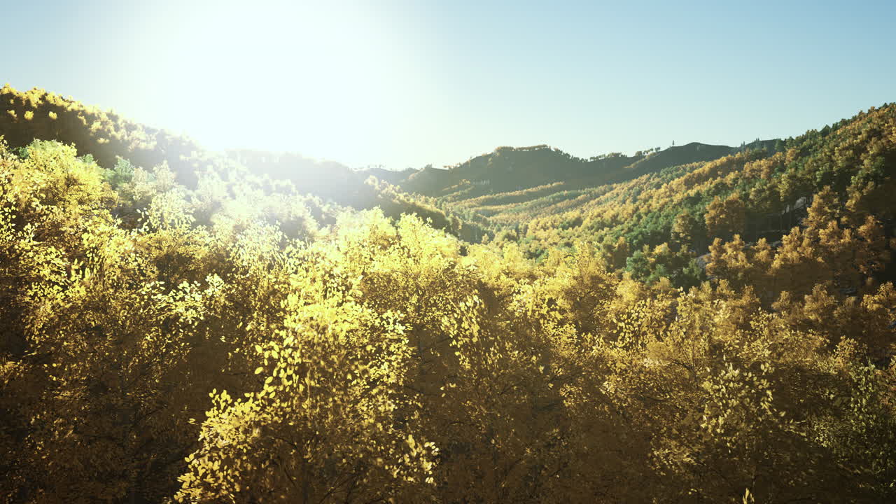 해가 지는 때 태양이 비추는 산들 사이에 가을의 나무가 있는 계곡