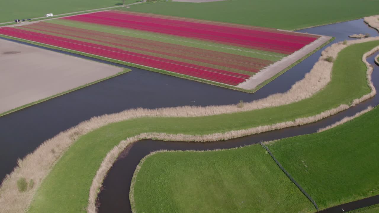 Farverige tulipanmarker og enge nær en flod, Hoogwoud, Holland