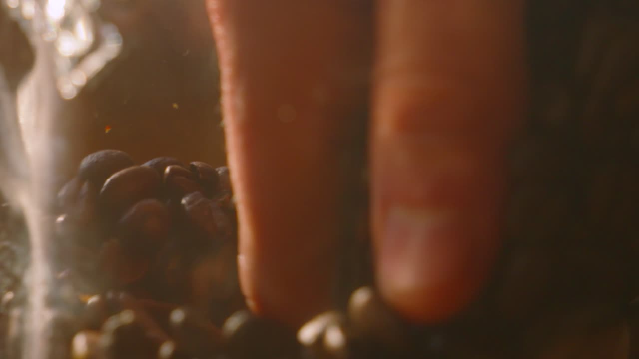Hand Grabbing Whole Brown Roasted Coffee Beans in Glass Jar in Slow Motion. Close Up Details of Fresh Hot Drink Ingredients Ready to Blend and Enjoy.