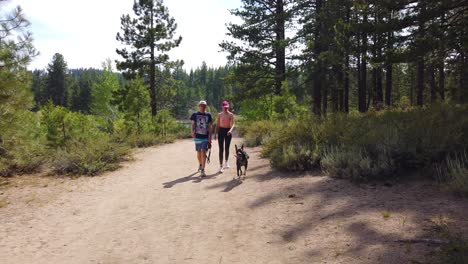 Ein-Mann-Und-Eine-Frau-Gehen-Mit-Ihren-Hunden-In-Zeitlupe-Durch-Einen-Wald-In-Den-Sierra-Nevada-Bergen-In-Der-Nähe-Von-Lake-Tahoe,-Kalifornien-1