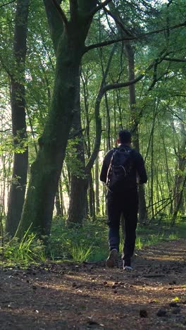 man hiking in a forest