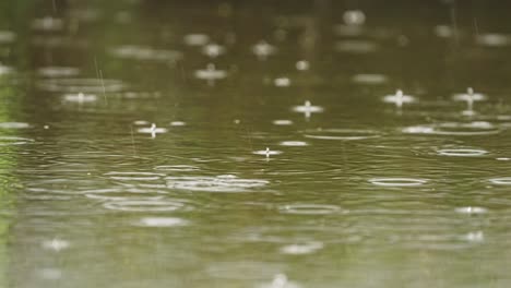 rain on a puddle