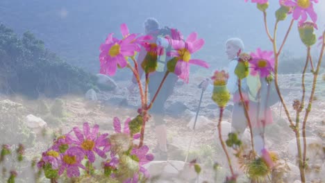 happy caucasian senior couple hiking in countryside over flowers moving in the wind