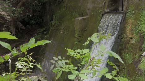 Peaceful-woodland-forest-splashing-waterfall-slow-motion-flowing-paradise-wilderness-panning-down-right