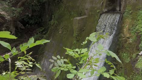peaceful woodland forest splashing waterfall slow motion flowing paradise wilderness panning down right