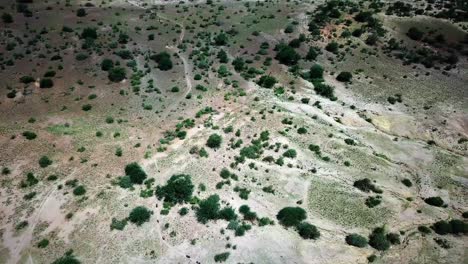 african landscape with motorcycle riders during safari tour - aerial panoramic