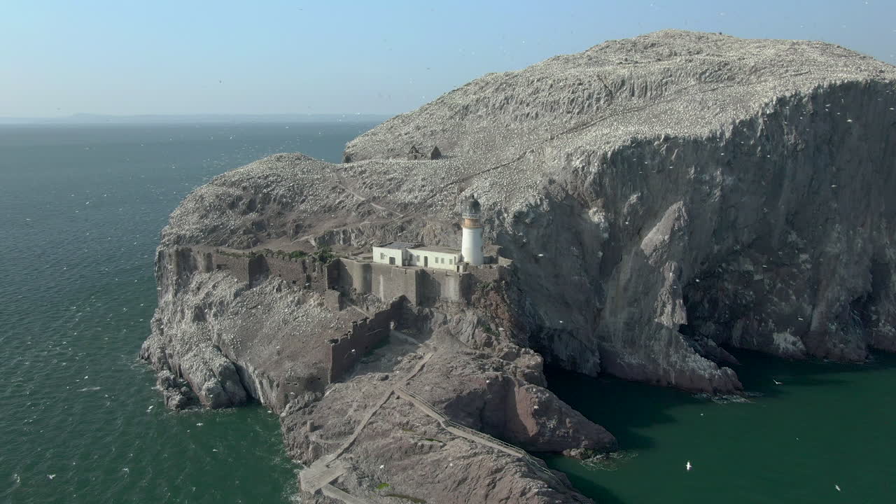 가넷 바닷새가 화창한 날 스코틀랜드 이스트 로디안에서 섬 식민지를 돌면서 배스 록과 등대를 돌고 있는 공중 전망