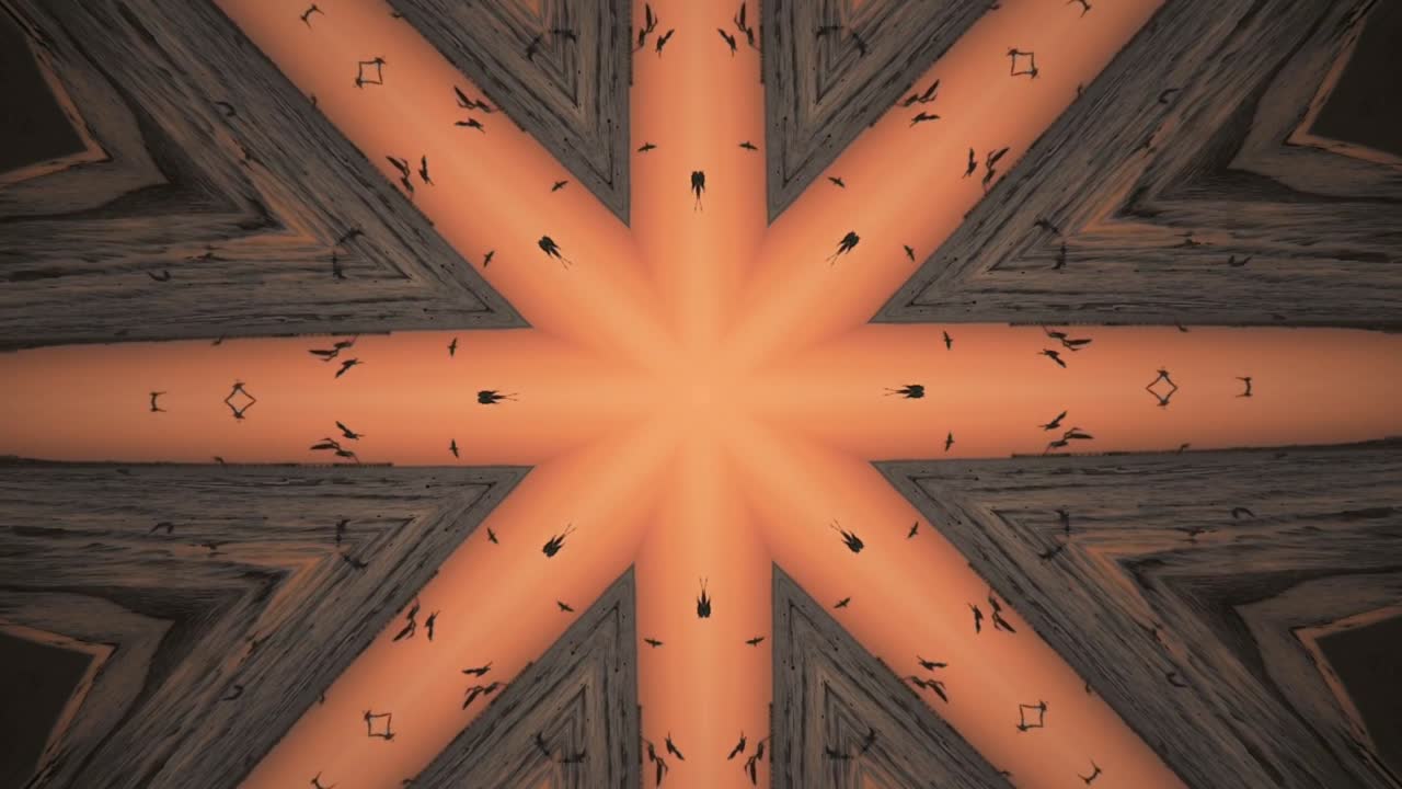 caleidoscopio geométrico patrón animado resumen naturaleza