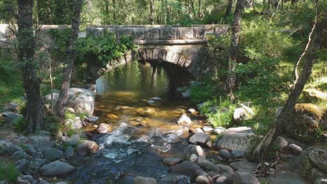 un puente stonr con plantas trepadoras sobre un pequeño río