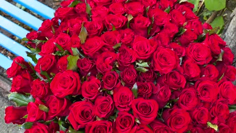 101 hermosos rosas rojas ramo, definición y significado del amor verdadero, flores románticas, regalo del día de san valentín, mostrando sentimientos, tiro de 4k