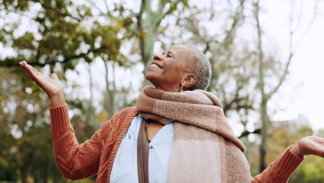 park, freedom and happy senior black woman relax