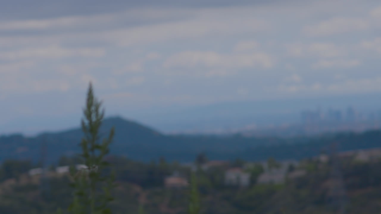 панорамирующий снимок через зелень и горный хребет с фокусом на центр лос-анджелеса вдали, расположенный в эхо горные тропы калифорния