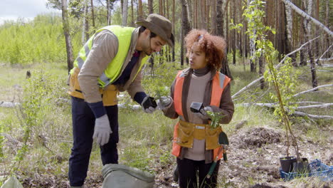 caucasian man and african american woman activists holding small trees and talking to plant them in the forest