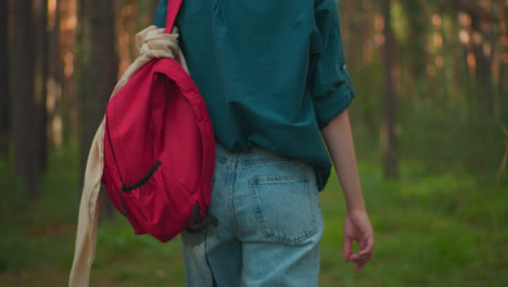 vista posterior de una mujer caminando por un bosque iluminado por el sol con una mochila roja y una camisa verde, balanceando su mano derecha mientras camina por el sendero, la luz del sol se filtra a través de los árboles, proyectando un brillo cálido sobre ella