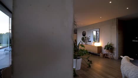 Slow-revealing-shot-of-a-living-room-with-French-sliding-doors-and-indoor-plants