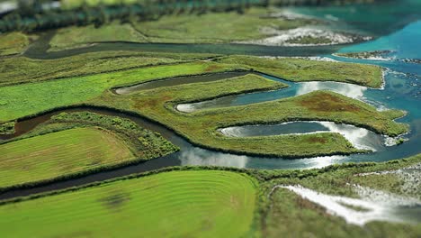 Humedales-Pantanosos-En-Miniatura-Al-Borde-Del-Fiordo