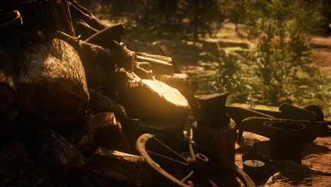 preparación de leña para el invierno en el bosque al atardecer
