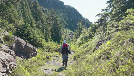 excursionista alejándose de la cámara hacia la pradera de montaña alpina - rango de mackenzie, isla de vancouver, bc, canadá