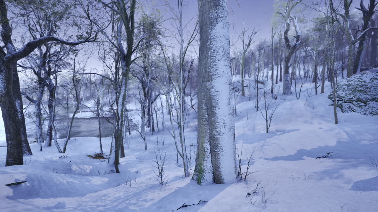 Winter wonderland captivates viewers in a serene forest landscape