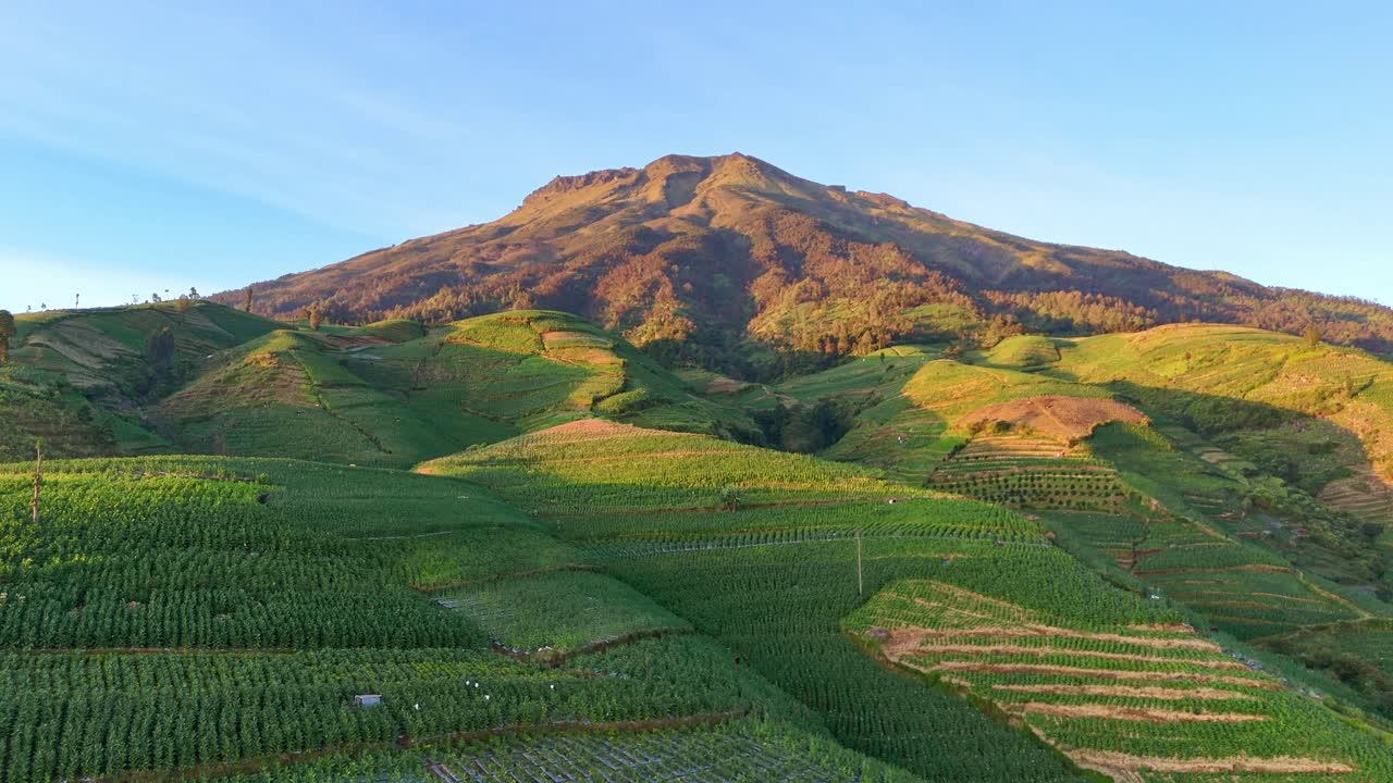 Drönarfilm av ett naturskönt berg som reser sig över vidsträckt jordbruksmark med livfulla gröna terrassodlingar. Indonesiens lantliga jordbruksfält vid berget Sumbing.