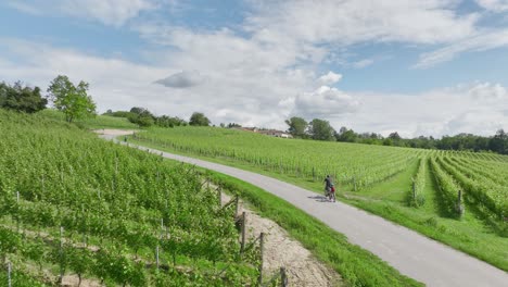 Bicycle-ride-in-vineyard's-in-Italie