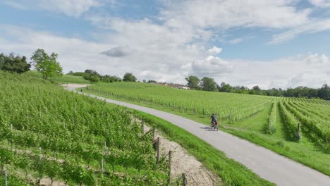 Paseo-En-Bicicleta-Por-Viñedos-En-Italia.