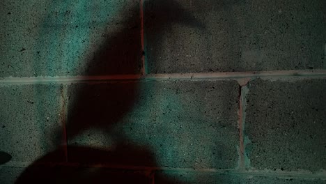 bird in cage shadow on wall