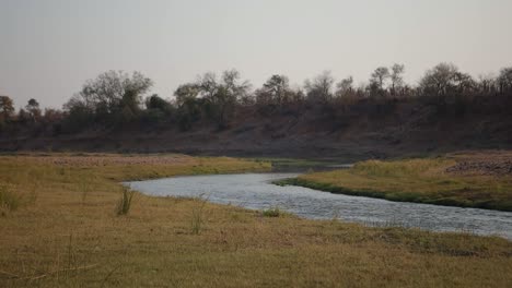 Während-Die-Afrikanische-Sonne-Schimmernde-Reflexe-Wirft,-Fließt-Ein-Fluss-Mit-Gelassener-Kraft,-Der-Sich-Durch-Das-Herz-Des-Kontinents-Zieht-Und-Geschichten-über-Tierwelt,-Überleben-Und-Zeitlose-Schönheit-Widerspiegelt