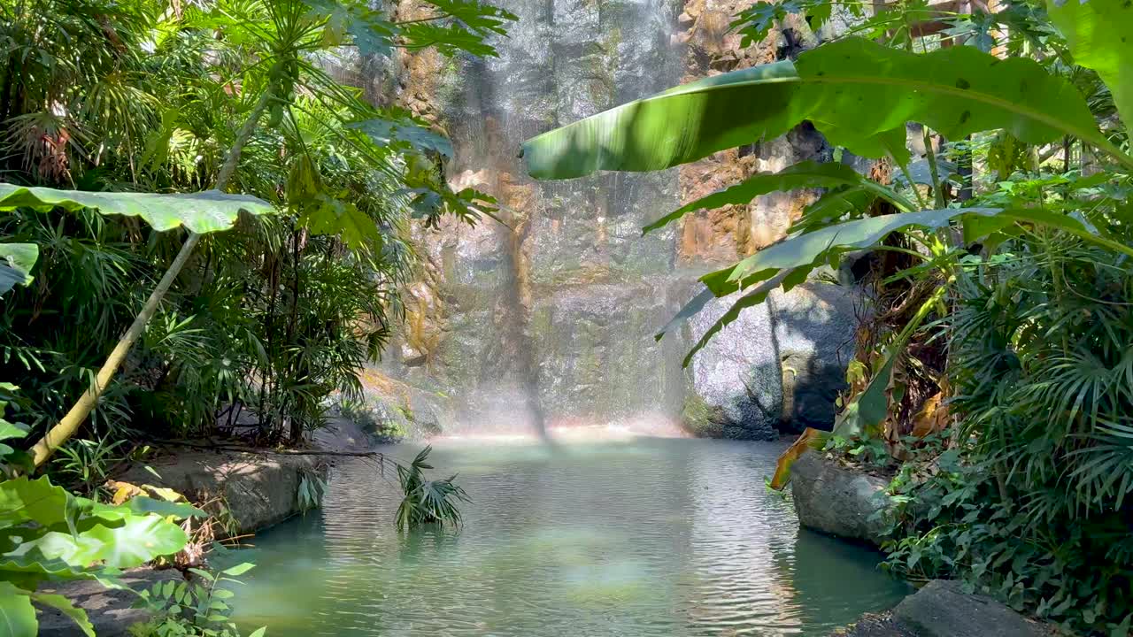 uma cachoeira cercada por plantas tropicais vibrantes