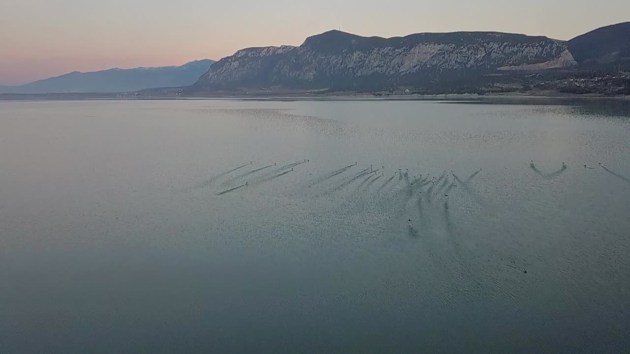 날아가는 오리를 따라 호수 위로 전방 드론 샷