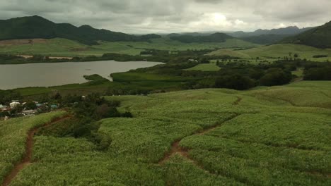 Luftaufnahme-Der-Landschaft-Von-Mauritius,-Mit-Einer-Zuckerrohrplantage-Im-Vordergrund-Und-Einem-See,-Bergen-Und-Einem-Bewölkten-Himmel-In-Der-Mitte-Und-Im-Hintergrund