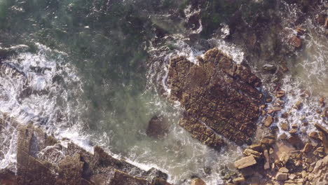 White-waves-rolling-up-onto-seaweed-covered-horizontal-bedded-sedimentary-ocean-rocks-aerial-view-slow-pan-right-to-left-rocky-shoreline-Turimetta-Beach-Sydney-Australia