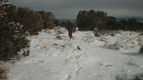 Abenteuer-In-Der-Wildnis-Mit-Schnee-Auf-Dem-Boden