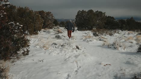 aventuras en la naturaleza con nieve en el suelo