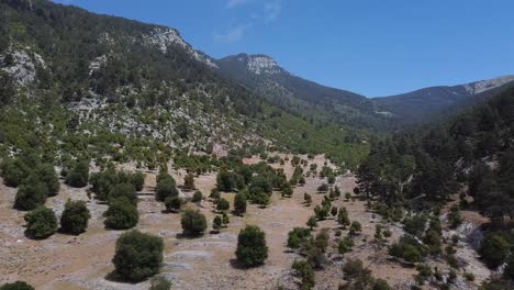 tour aéreo sobre el valle verde con montañas en aperlai ciudad antigua perfecta para hacer senderismo en turquía