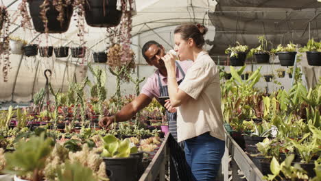 diverse people examining plants in greenhouse, using tablet to check inventory