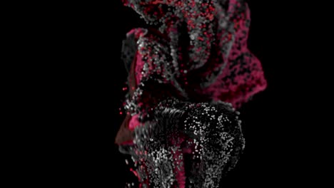 fluid simulation with alpha matte.