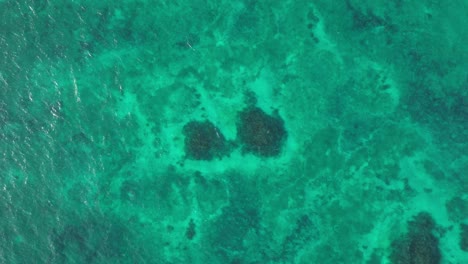 aerial drone rise up caribbean clean turquoise sea, transparent water revealing tulúm beach