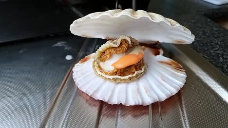 jumbo whole bay scallop edible saltwater clam inside shell on aluminium kitchen surface