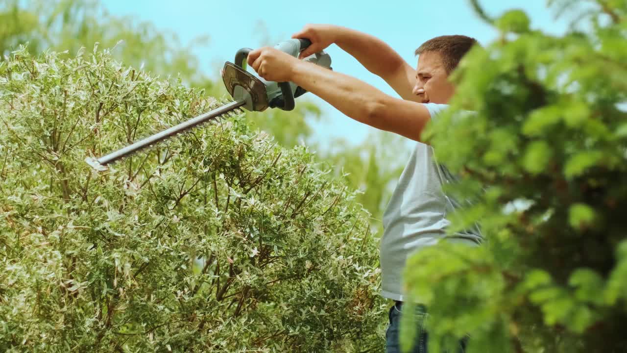 정원 가공자: 을 위한 전기 트리머와 함께 그린 파크에서 나무를 잘라내는 정원 노동자: 정원에서 나무를 형성하는 노동자: 뒷마당에서 오렌지 전기 트리마와 함께 나무 식물을 잘라내는 노동자.
