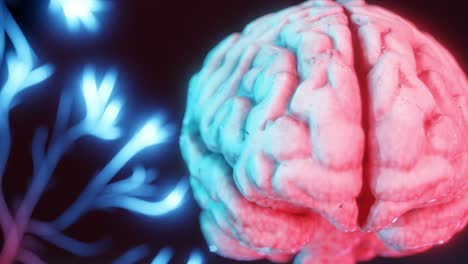 close-up of human brain with pink and blue neon lighting and glowing neural branches on dark background. 3d digital illustration in conceptual science and technology style. artificial intelligence,