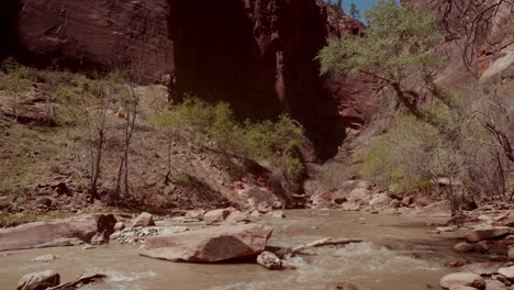 zion national park canyon with river