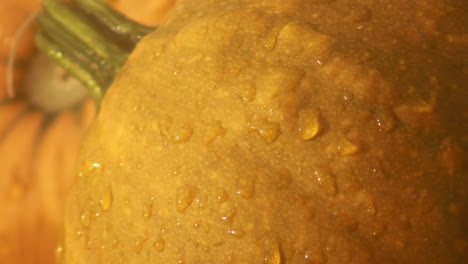 close up of water droplets on a fresh pumpkin