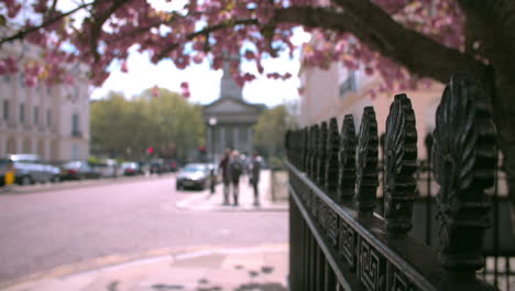 City-street-in-spring,-Marylebone,-London,-selective-focus