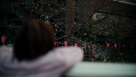 Woman admiring cherry blossoms in Japan