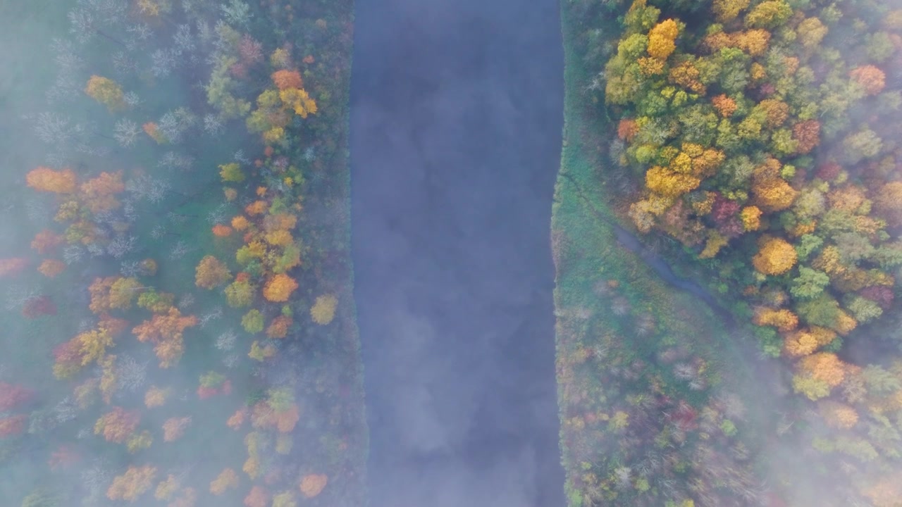 Luftfoto ovenfra over Gauja-floden indrammet af tåge og levende efterårsløv.