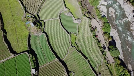 farms-green-trees-rice-paddy-vegetable-gardens-connected-by-zig-zag-dirt-gravel-trails-paths-emerald-mountain-water-mountain-rocky-river-creek-Top-down-ascending-rotating-wide-angle-aerial