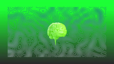 animación del cerebro humano girando sobre un fondo de patrón brillante