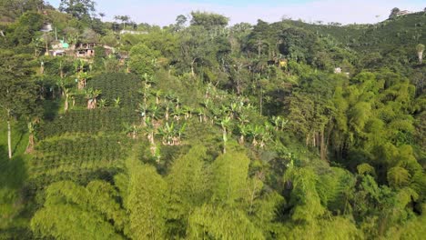 Landschaften-Auf-Den-Bergen-Kolumbiens-H