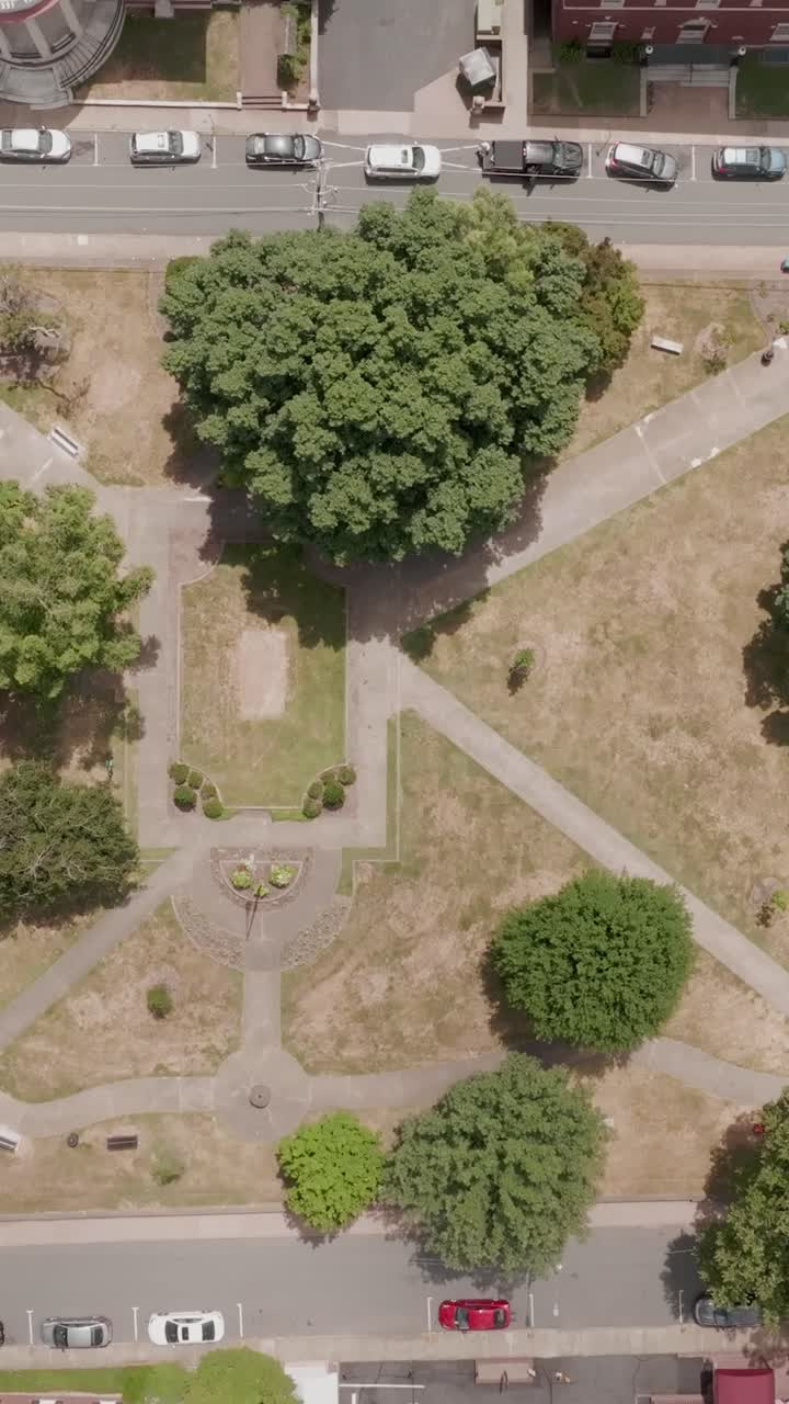 Ripresa aerea verticale con drone ad alta quota del Market Street Park a Charlottesville, Virginia, che mostra il paesaggio urbano del centro e il parco cittadino di giorno.